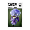 Iris Wings Postage postage