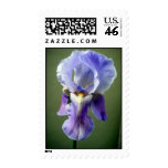 Iris Wings Postage postage