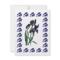Iris with blue border Invitation