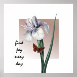 Iris with Butterfly Posters