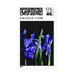 Irises Amoung the Ladies Stamp