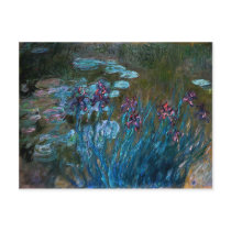 Irises and Water Lilies, Claude Monet Post Card
