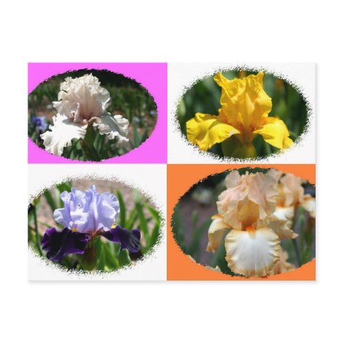 Irises at Missouri Botanical Gardens postcard