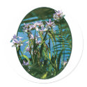 Irises by the Lake sticker