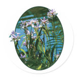 Irises by the Lake Stickers