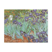 Irises by Vincent van Gogh Postcard