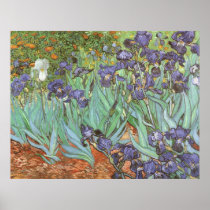 Irises by Vincent van Gogh Print