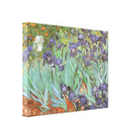 Irises by Vincent van Gogh, Vintage Fine Art Gallery Wrap Canvas
