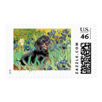 Irises - Dachsund (BT4) Postage Stamps
