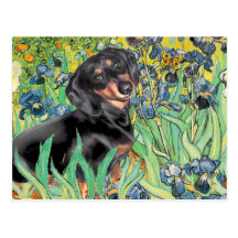 Irises - Dachsund (BT4) Postcard
