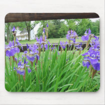 Irises in the Garden II mousepads by GraemePark Irises in the Garden II mousepads