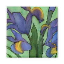 Irises Magnet