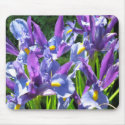 Irises Mousepad