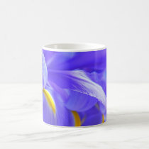 Irises mugs