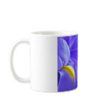 Irises mugs