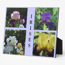 Irises Photo Plaques