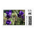 Irises postage by JLWinther Irises postage