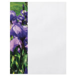 Irises Princess Royal Smith flyers