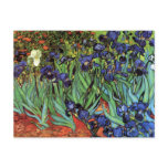 Irises, Saint-Remy, Van Gogh Post Cards