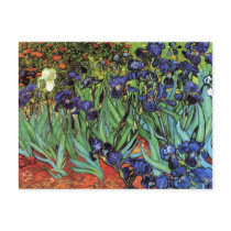 Irises, Saint-Remy, Van Gogh Post Cards