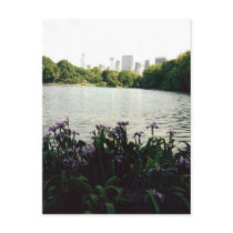 irisesmmm 001 postcards