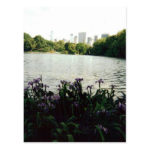irisesmmm 001 postcards