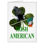 Irish American Irish American