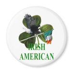 Irish American Irish American