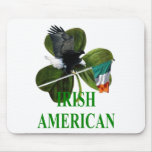 Irish American Irish American