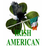 Irish American Irish American