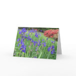 Irish and Azalea Notecards Irish and Azalea Notecards