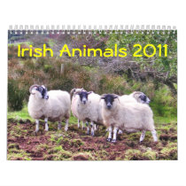 Irish Animals 2011 Calendar
