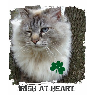 IRISH AT HEART TSHIRTS by MAPASUE