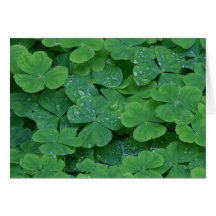 Irish blessing greeting card