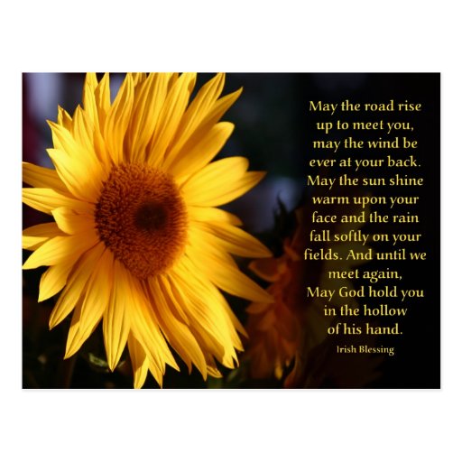 Irish Blessing Postcards