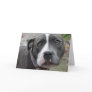 Irish Blue Staffordshire Terrier Dog Birthday Card
