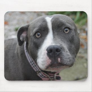 Irish Blue Staffordshire Terrier Dog Mouse Mat / Pad Irish Blue Staffordshire Terrier Dog Mouse Mat / Pad