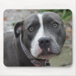 Irish Blue Staffordshire Terrier Dog Mouse Pad