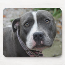 Irish Blue Staffordshire Terrier Dog Mouse Pad mousepads