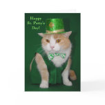 Irish Bubba Kitty Blessing Card