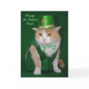Irish Bubba Kitty Blessing cards by myrtieshuman Irish Bubba Kitty Blessing cards