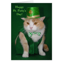 Irish Bubba Kitty Blessing Card