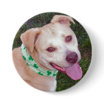 Irish Capone buttons