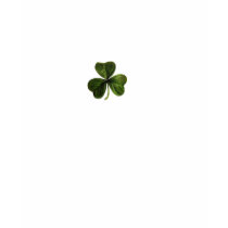 Irish_clover t-shirts