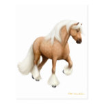 Irish Cob Horse Postcard