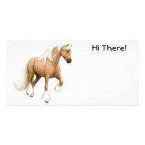 Irish Cob Photo Card photo cards