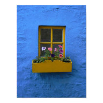 Irish Cottage Windowbox posters