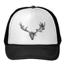 Irish Elk Skull Antique Print hats