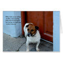 Irish Eyes cards by terryrowe Irish Eyes cards