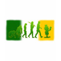 Irish flag Leprechaun evolution gear t-shirts by IrishT Irish flag Leprechaun evolution gear t-shirts